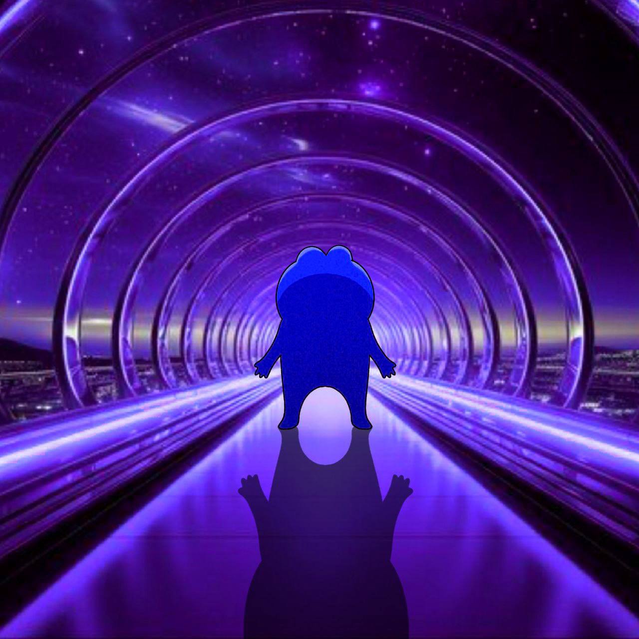 Into the Unknown